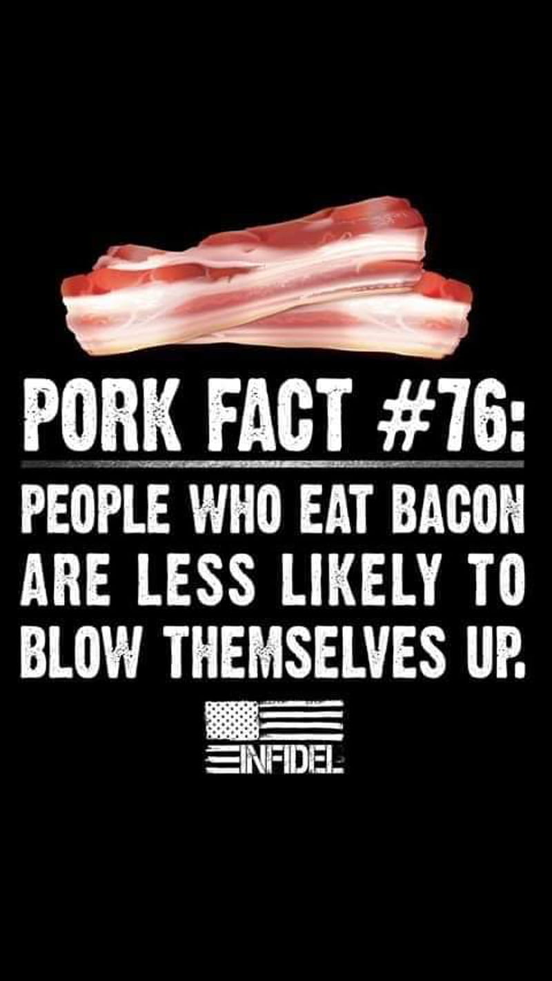 pork fact, bacon, meat, pig, truth, HD phone wallpaper