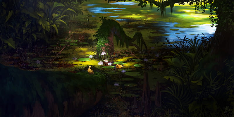 lotus, swamp, dark, HD wallpaper