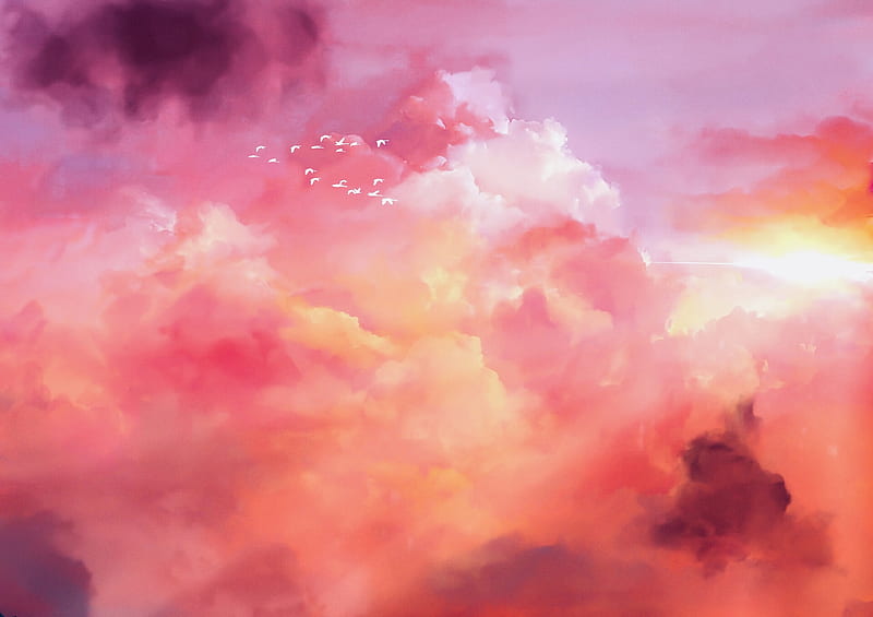 birds, flock, pink, sky, HD wallpaper
