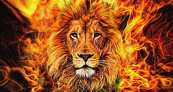 Zodiac~ Leo, orange, lion, fire, leu, leo, zodiac, HD wallpaper