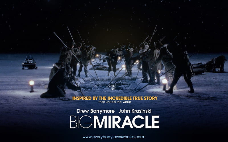 Big Miracle 2012 Movie s 03, HD wallpaper