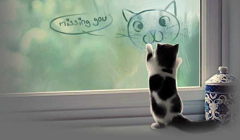 kitty miss you
