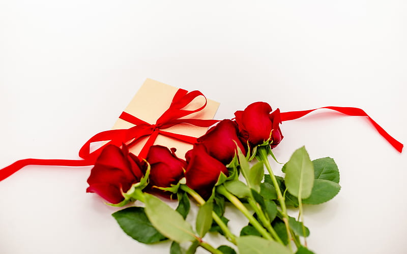 red roses, bouquet, red rose petals, gift, red silk bow, roses on a white background, HD wallpaper