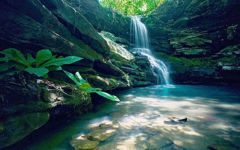 Peaceful Arkansas waterfall, trees, river, rocks, usa, forest, HD wallpaper