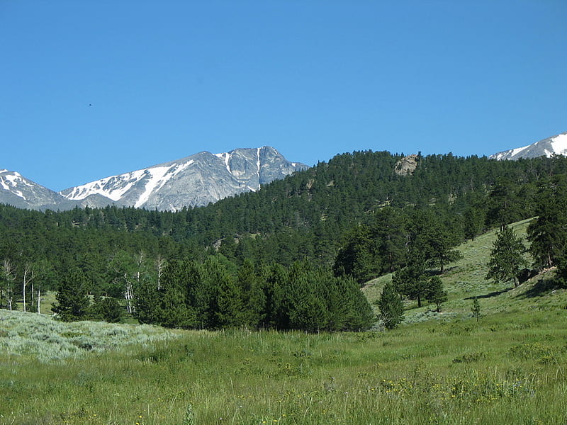 BEAVER MEADOW, forest, nature, mountains, meadow, HD wallpaper