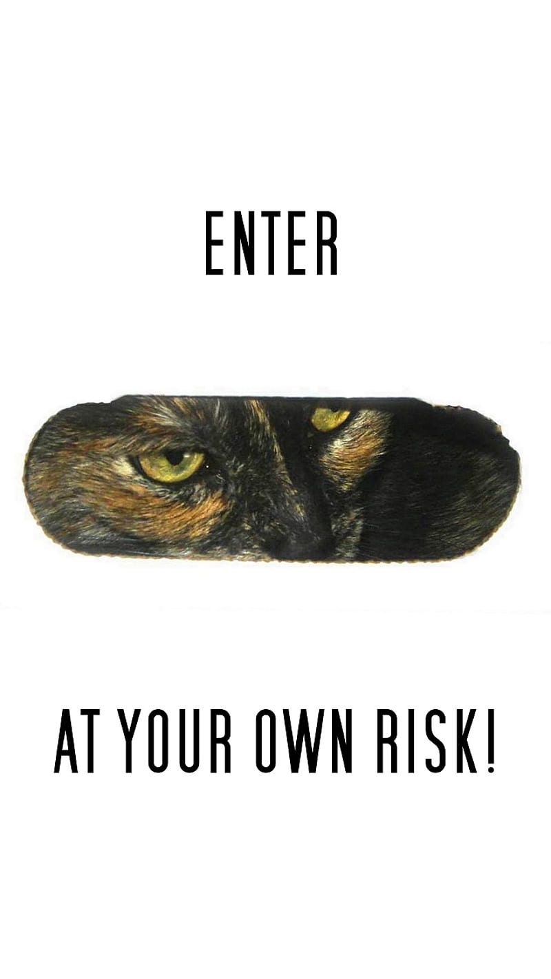 Your Own Risk Cat, do not enter, eyes, feline, funny, hide, kitty, lock screen, locked, my phone, peek, risky, sayings, threat, tortoiseshell, warning, HD phone wallpaper