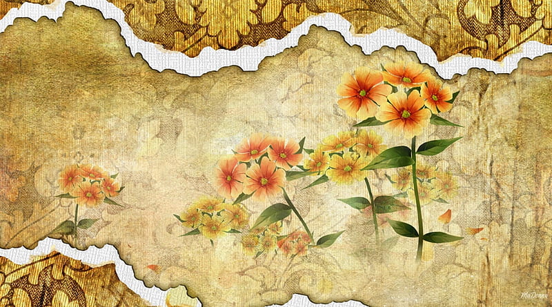 Yesterdays Flowers, burnt, parchment, old fashion, floral, ripped, tear, flowers, paper, vintage, HD wallpaper