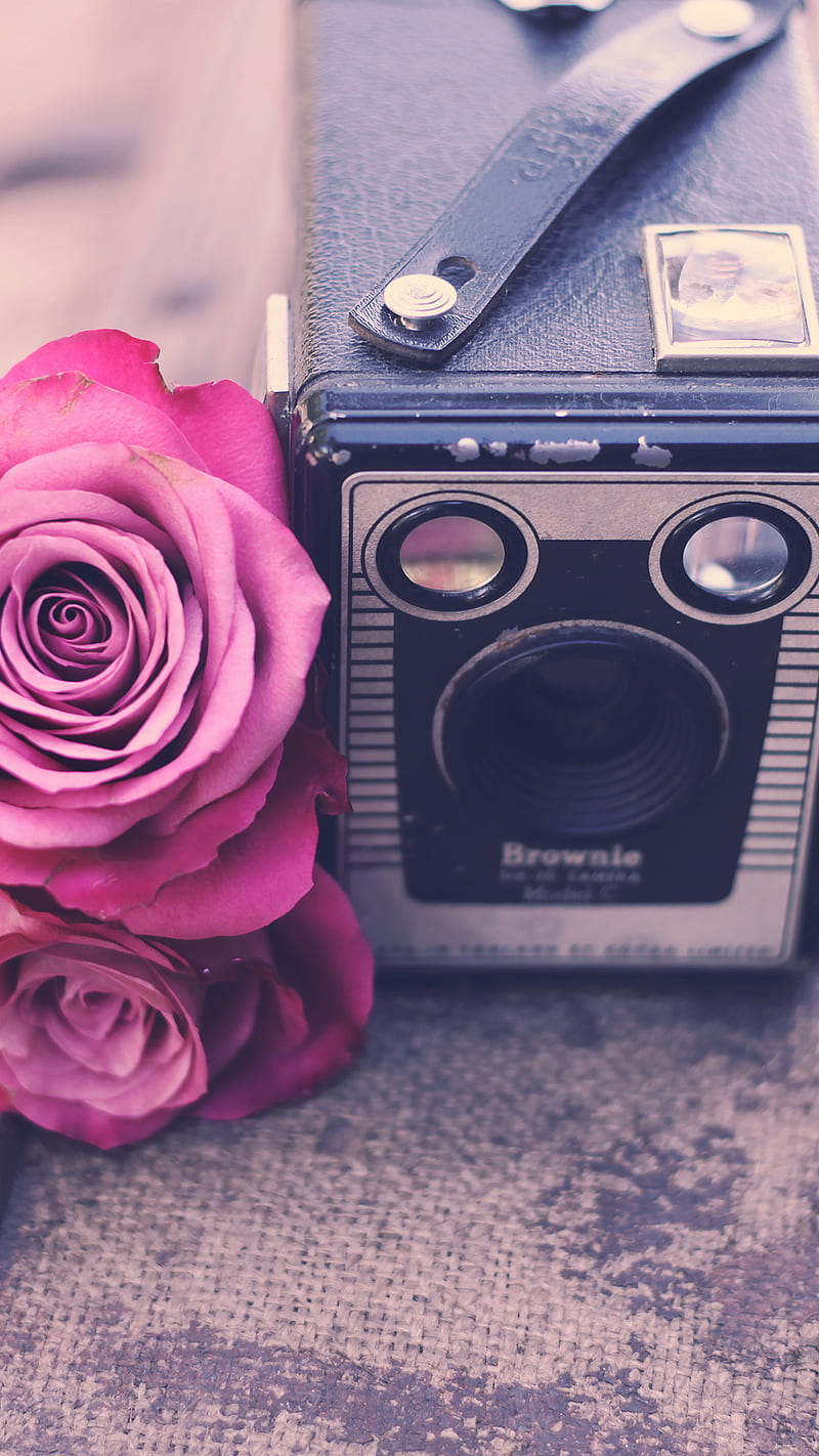 Vintage Days, camera, chic, film, flowers, joakimk, roses, shabby, HD phone wallpaper