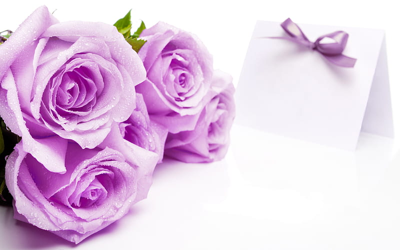 With Love, pretty, wet, lavender, drops, sweet, five, nice, friendship, love, bunch, flowers, beauty, tender, valentines day, lovely, ribbon, gift, purple rose, purple, blossoms, violet, lilac, beauty delecate, rose, bonito, still life, graphy, message, for you, blooms, friends, letter, purple roses, soft, bud, buds, delicate, roses, bouquet, flower, passion, petals, nature, blooming, delecate, HD wallpaper