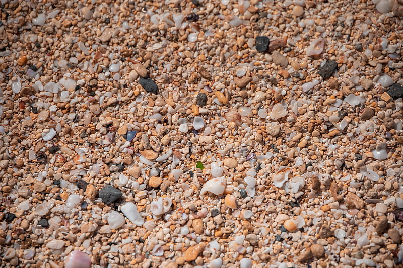 Brown and White Pebbles on Ground, HD wallpaper