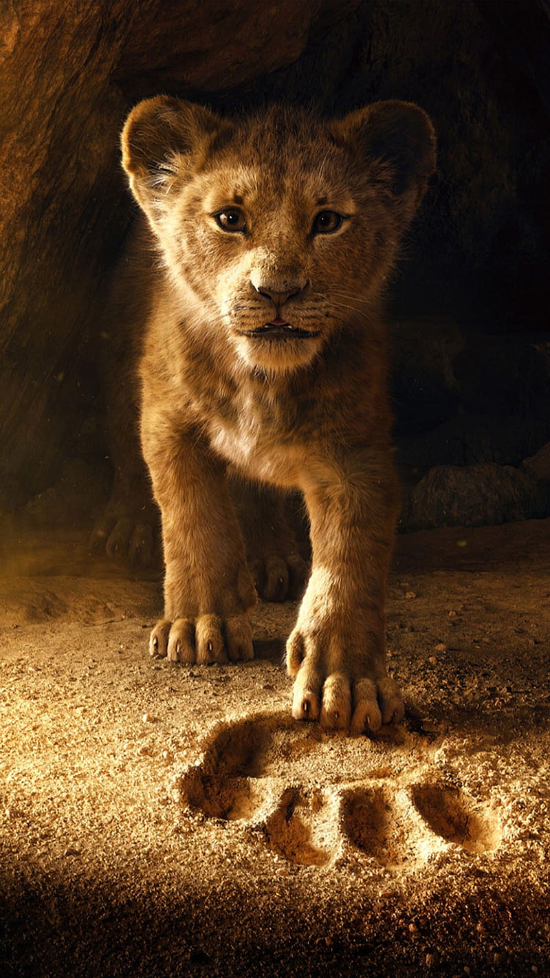 The lion king, lion, king, animation, film, movie, footsteps, small, wild,  animal, HD phone wallpaper | Peakpx