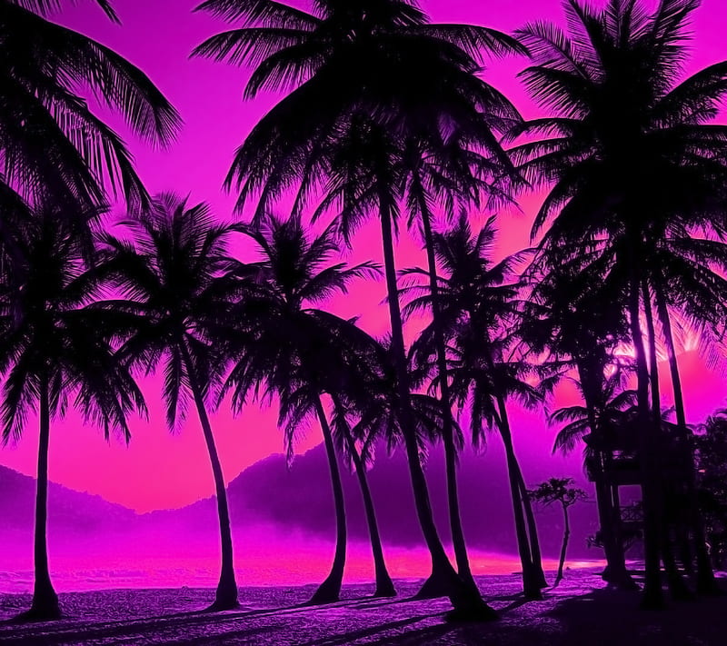 Purple palms, palm tree, HD wallpaper
