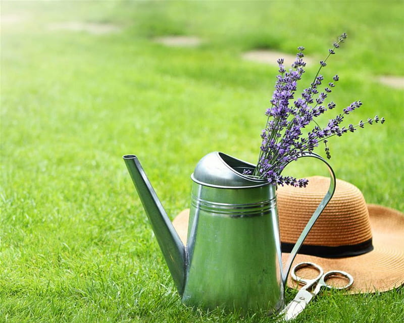 Watering Can and Hat, flowers, watering can, grass, hat, HD wallpaper