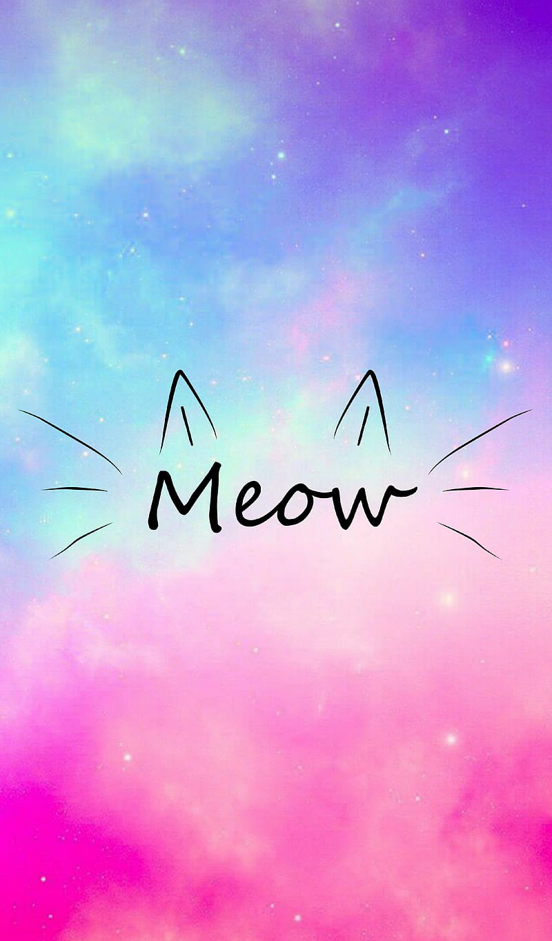Meow cat Wallpaper Download | MobCup