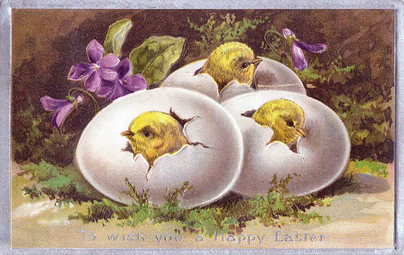 Happy Easter!, easter, pink, white, card, vintage, yellow, chick, egg, bird, pasari, flower, HD wallpaper