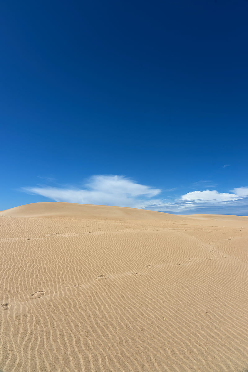 desert, sand, dunes, wavy, trace, sky, HD phone wallpaper