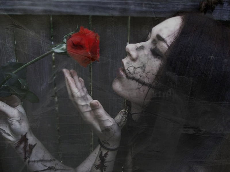 A Flower For The Broken, stitches, gothic, cuts, red flower, cracks, wounds, black hair, HD wallpaper