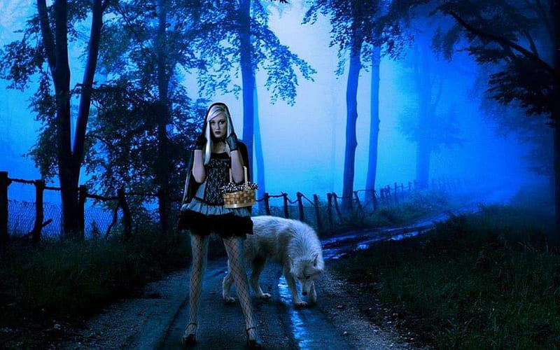 LADY AND WOLF IN A MISTY FOREST, Lady, Forest, people, Misty, nature ...