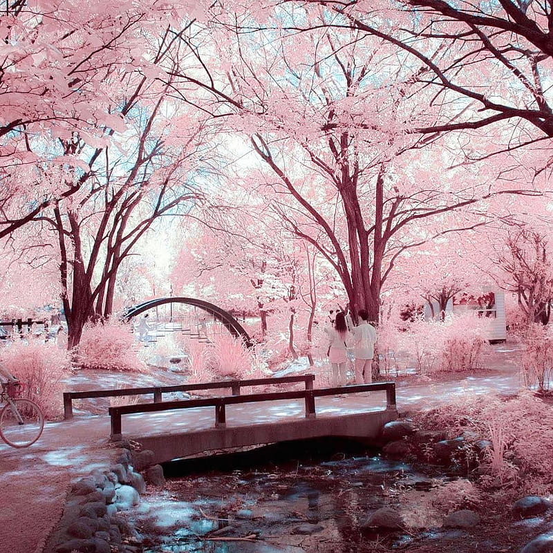 free download | Infrared graphy, infrared, IR, Seoul, South Korea ...