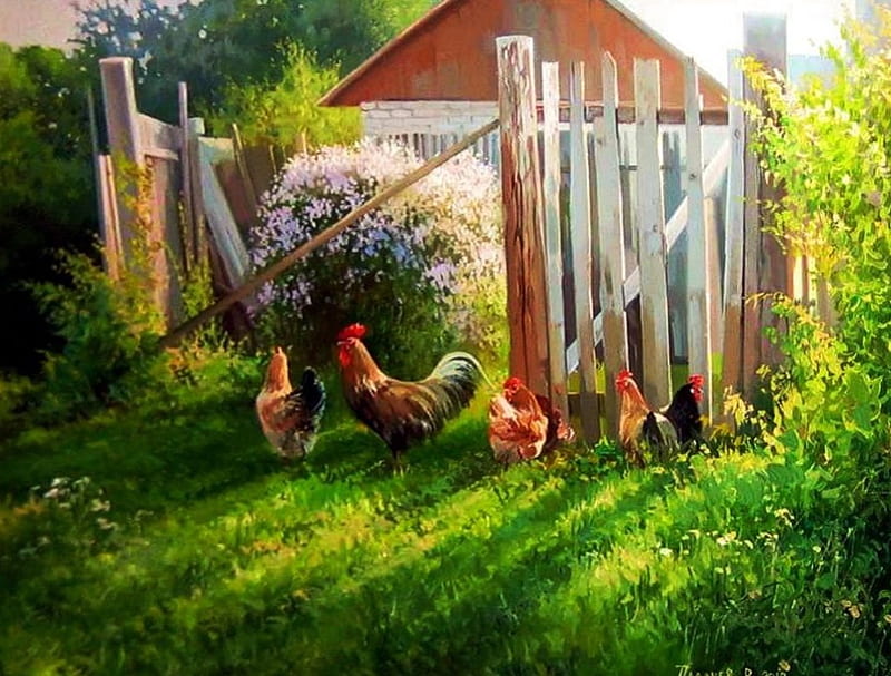 Poultry, fence, rooster, hens, painting, cabin, artwork, HD wallpaper