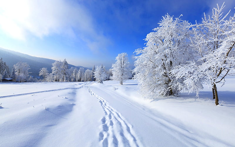 Winter Road, clouds, sky, snow, trees, HD wallpaper | Peakpx