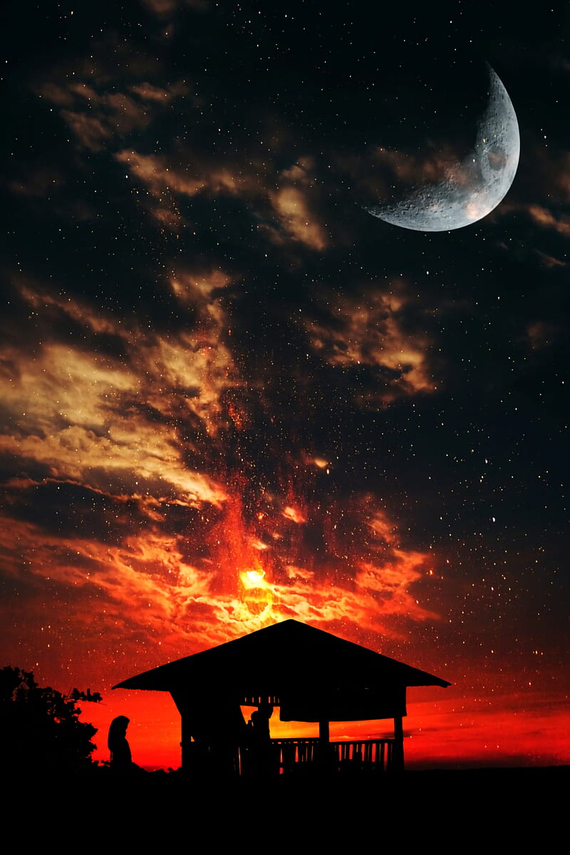 arbor, silhouettes, dark, twilight, sky, glow, red, HD mobile wallpaper