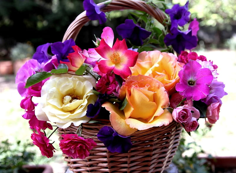 Beautiful Flowers for Dear Friend Alexandra, baskets, orange, rose, petunia, roses, carnations, carnation, purple, basket, flower, flowers, pink, petunias, HD wallpaper