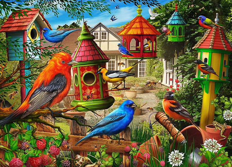 Birdhouse garden, colorful, art, birds, songbirds, spring, fun, joy, countryside, gathering, garden, birdhouse, village, HD wallpaper