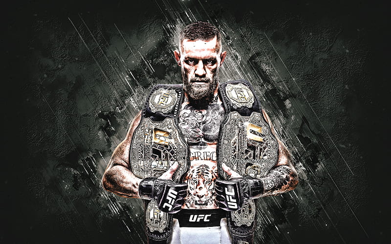 Conor McGregor, UFC, irish fighter, portrait, creative art, stone background, Ultimate Fighting Championship, HD wallpaper