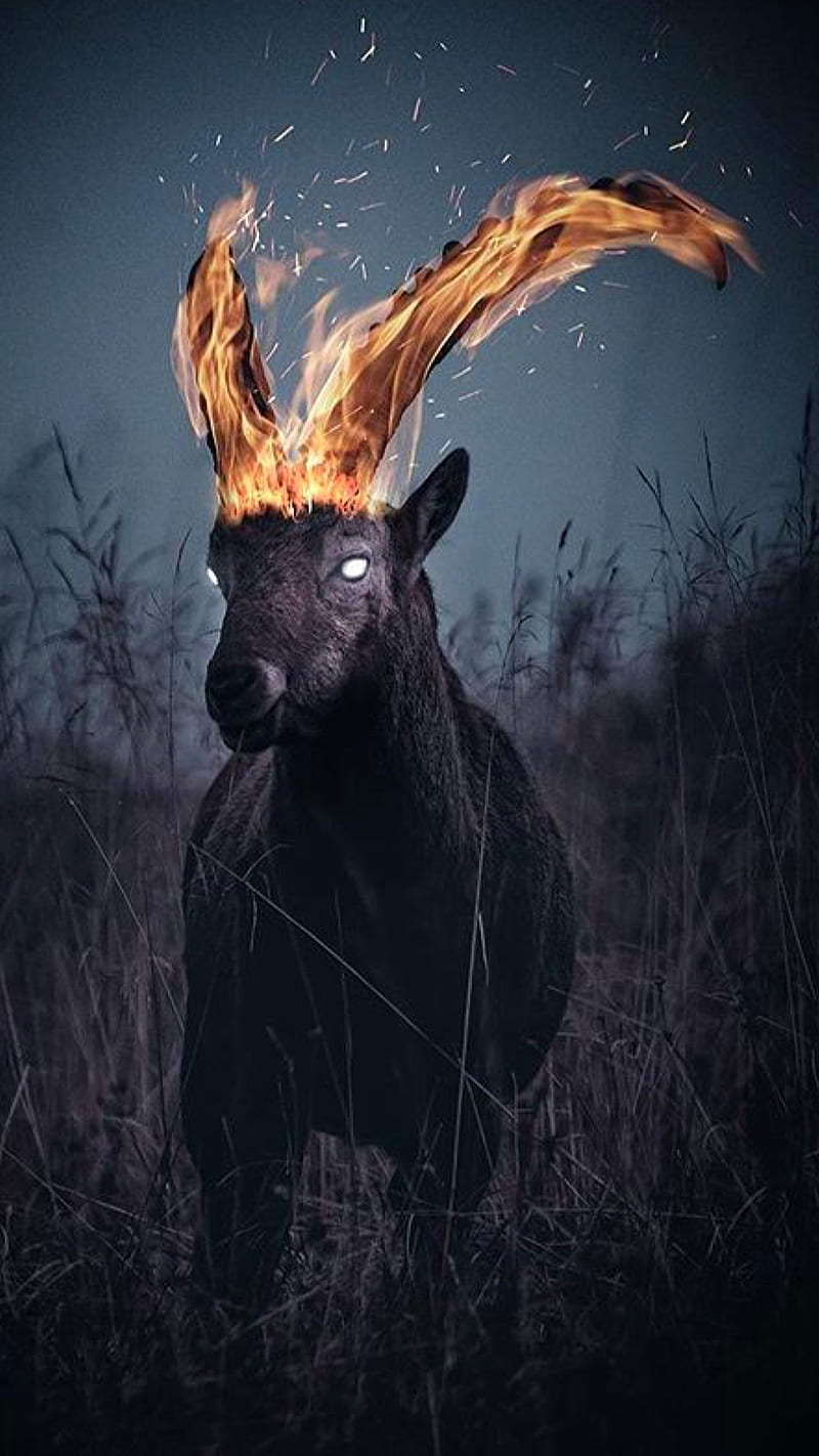 Goat, animal, burn, burning, fantasy, fire, HD phone wallpaper
