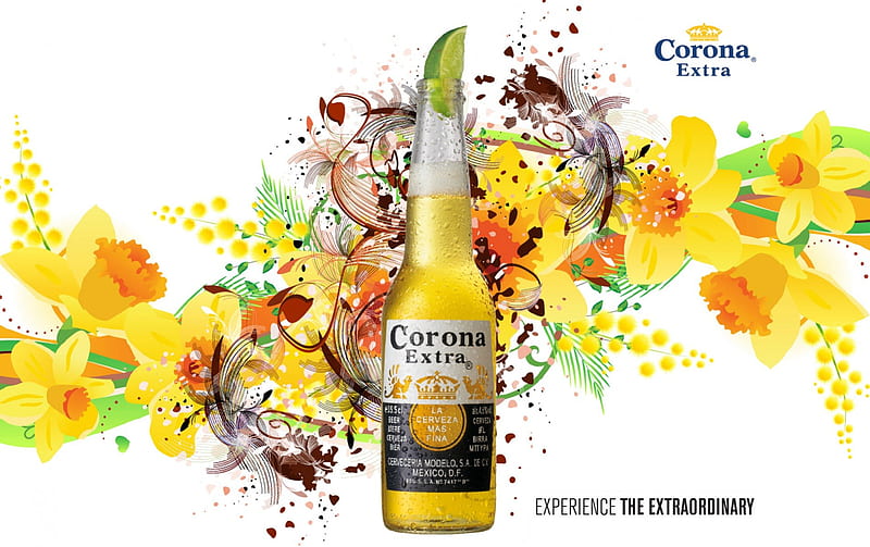 Corona Extra Beer, alcohol, bottle, corona extra, drink, beer, HD wallpaper