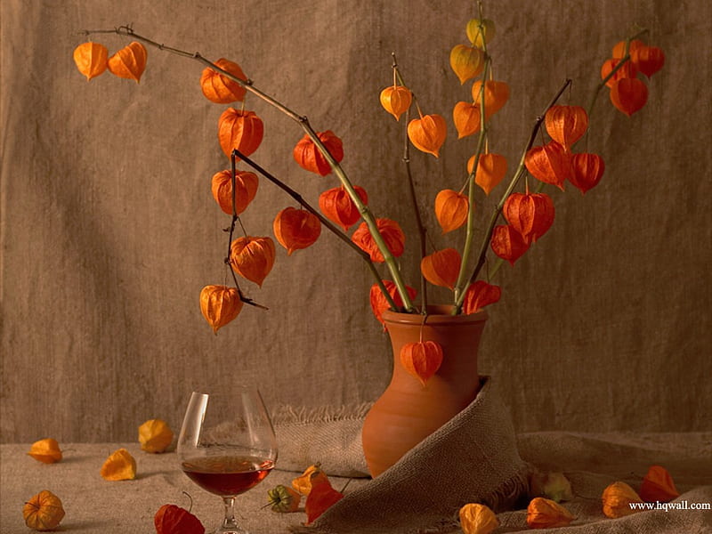 Orange Is Sexy, burlap, life, orange, wine, still, stems, vase, glass, rust, flowers, natural, HD wallpaper