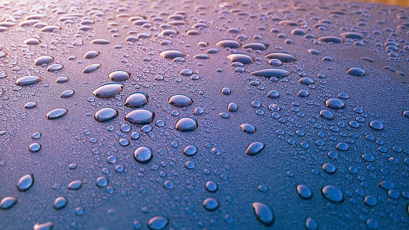 Blue Board With Water Dew Closeup graphy, HD wallpaper