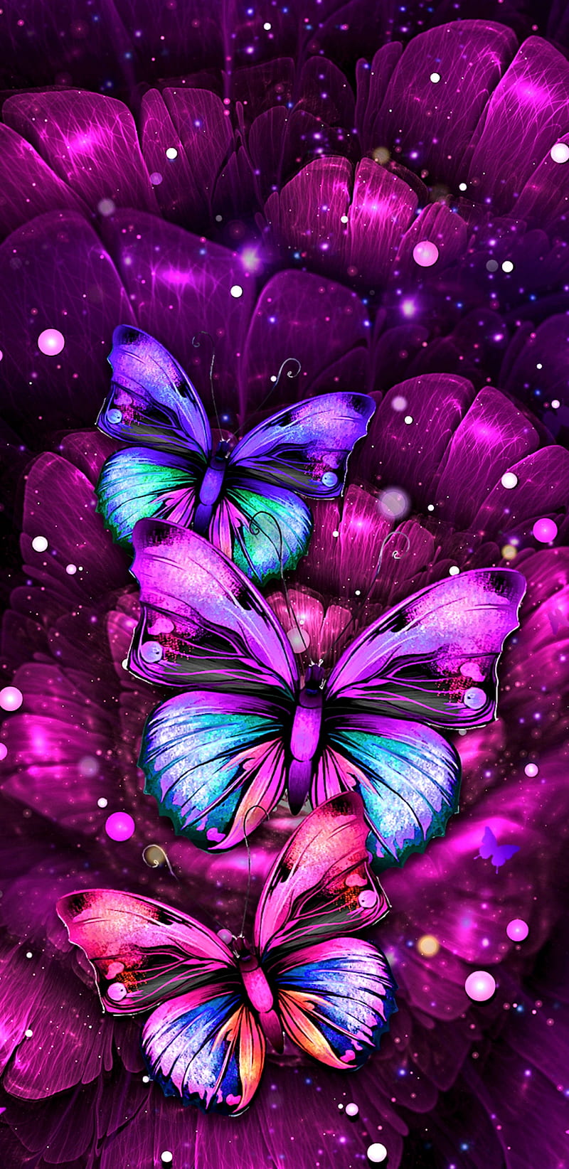MajicButterflies, butterfly, butterflies, bonito, pretty, girly, color, colourful, purple, pink, HD phone wallpaper