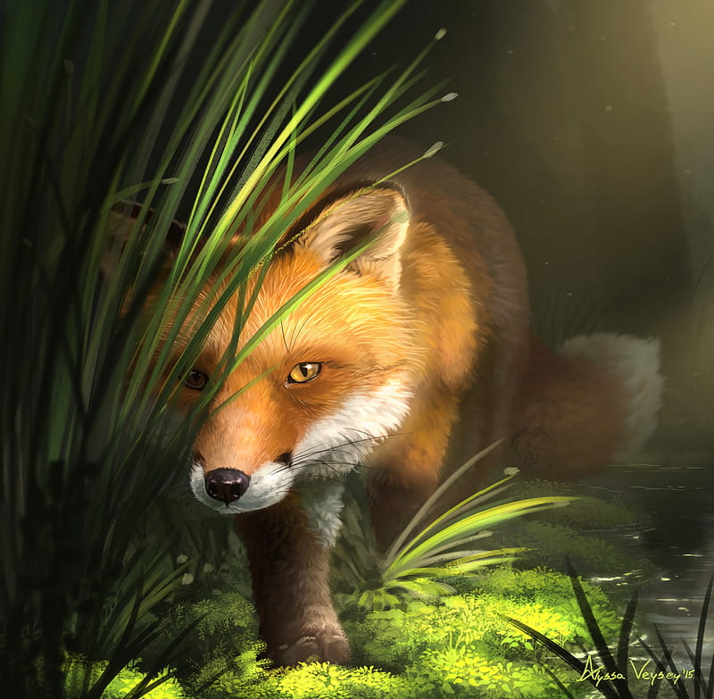 fox, grass, art, animal, wildlife, HD wallpaper