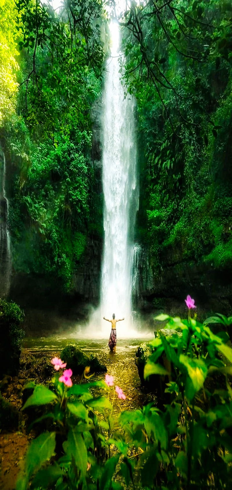 Agua de cataratas, cascada, otoño, flor, iphone, naturaleza, arco iris,  cascada, Fondo de pantalla de teléfono HD | Peakpx