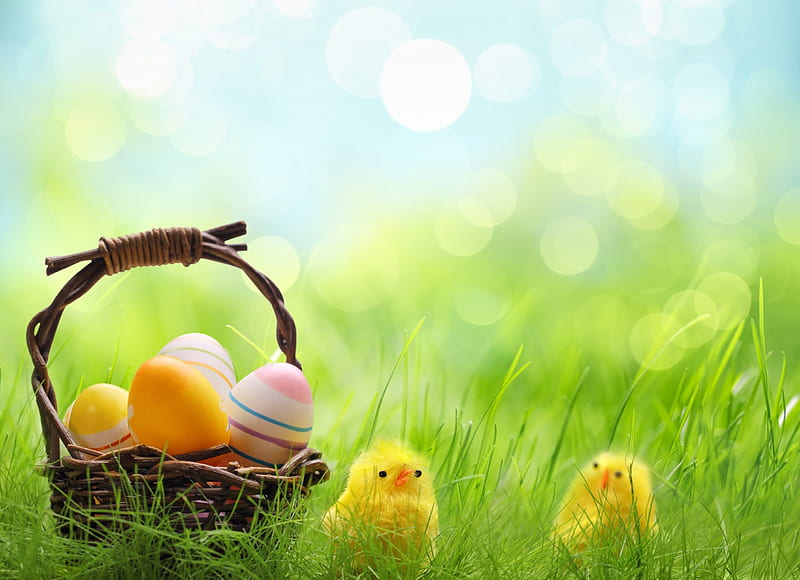 Spring Time, easter eggs, green, grass, nature, spring, happy easter, easter, HD wallpaper
