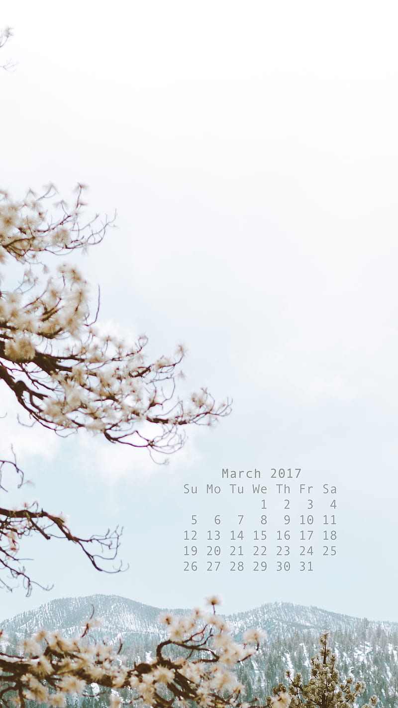 Calendar March 2017, 2017, calendar, march, spring, HD phone wallpaper