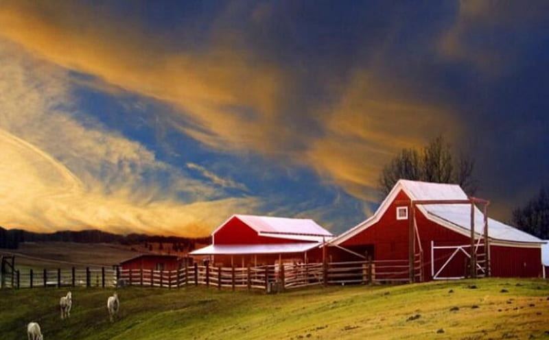 farm, farms, farming, red, barn, HD wallpaper