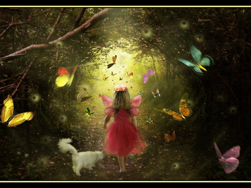 FOLLOW ME, forest, follow, female, wings, child, butterflies, cat, HD ...