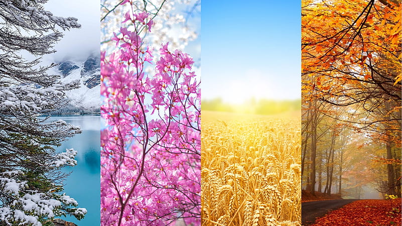 four seasons, seasons, winter, spring, autumn, summer, HD wallpaper