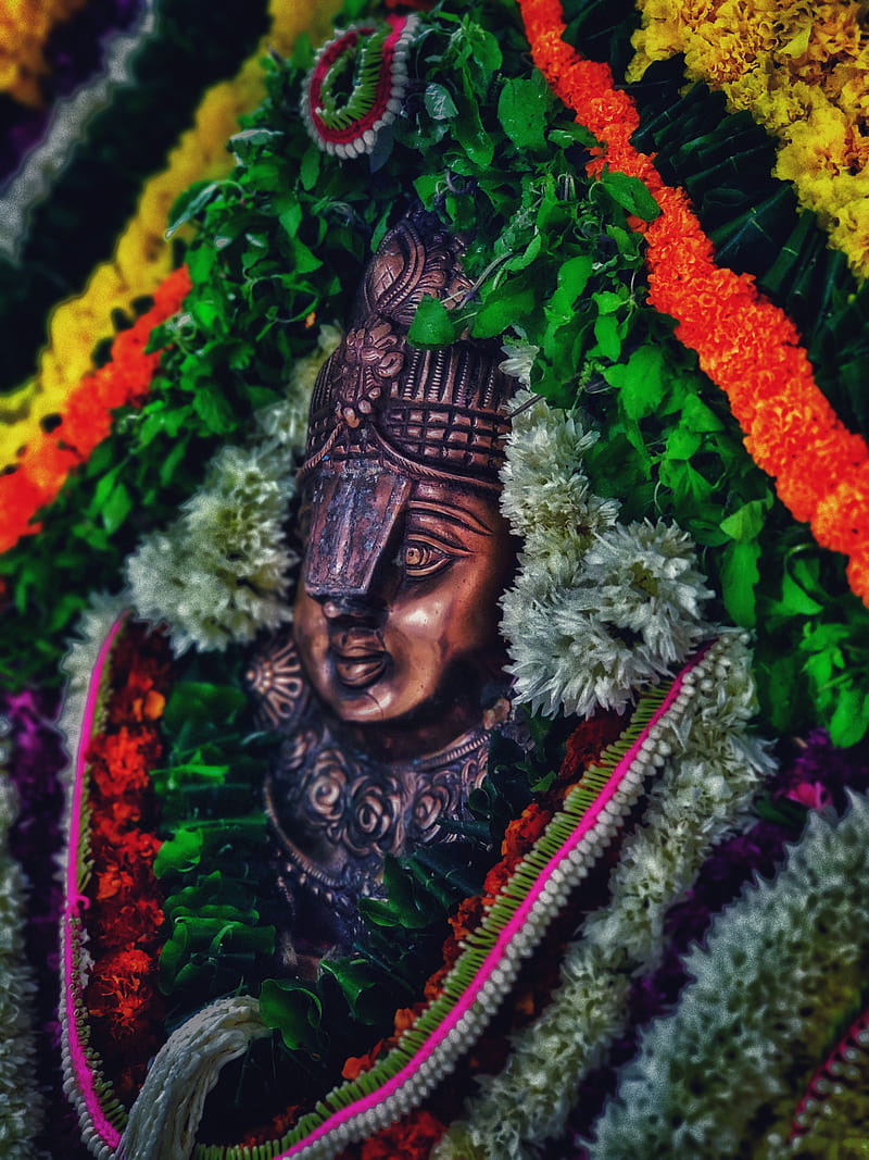 Lord vishnu, krishna, HD phone wallpaper