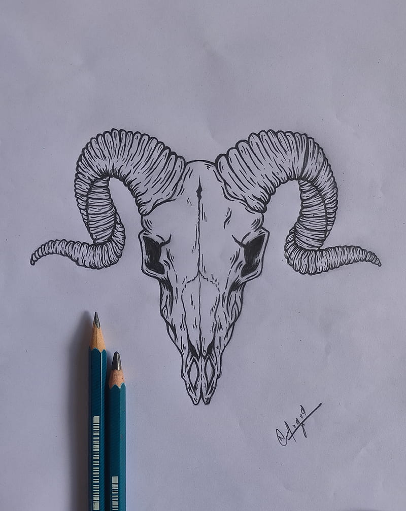 Skull drawing, dark, demon, evil, HD phone wallpaper