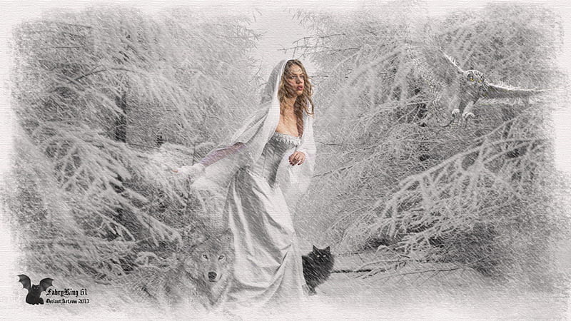 lady in white and wolf, friendship, quotes, pack, dog, lobo, arctic, maned wolf nature, black, abstract, winter, timber, snow, wolf , wolfrunning, wolf, white, lone wolf, howling, wild animal black, howl, canine, wolf pack, solitude, gris, the pack, mythical, majestic, wisdom beautiful, spirit, canis lupus, grey wolf, wolves, HD wallpaper