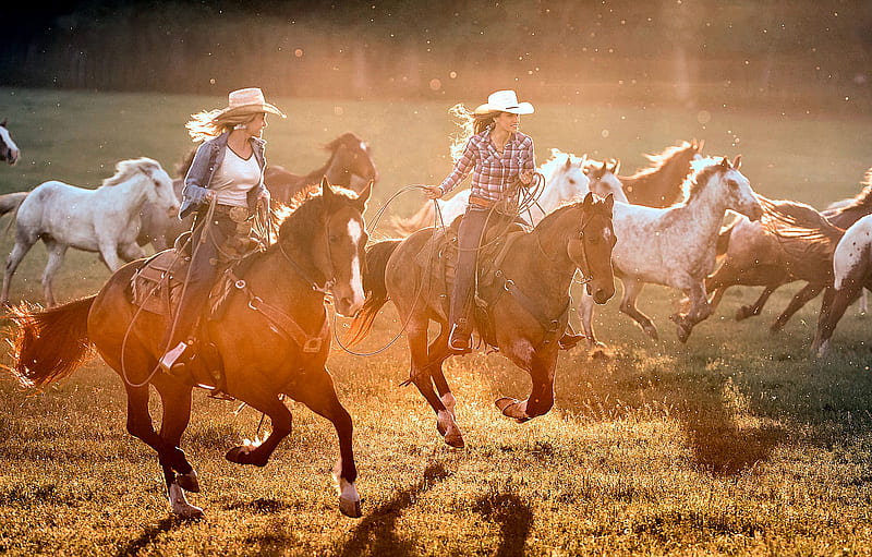 Beautiful Drovers . ., hats, female, boots, ranch, herd, fun, women, horses, outdoors, brunettes, cowgirls, drovers, western, style, blondes, HD wallpaper