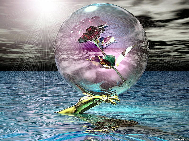 Rose in a glass ball, glass, ball, water, rose, HD wallpaper