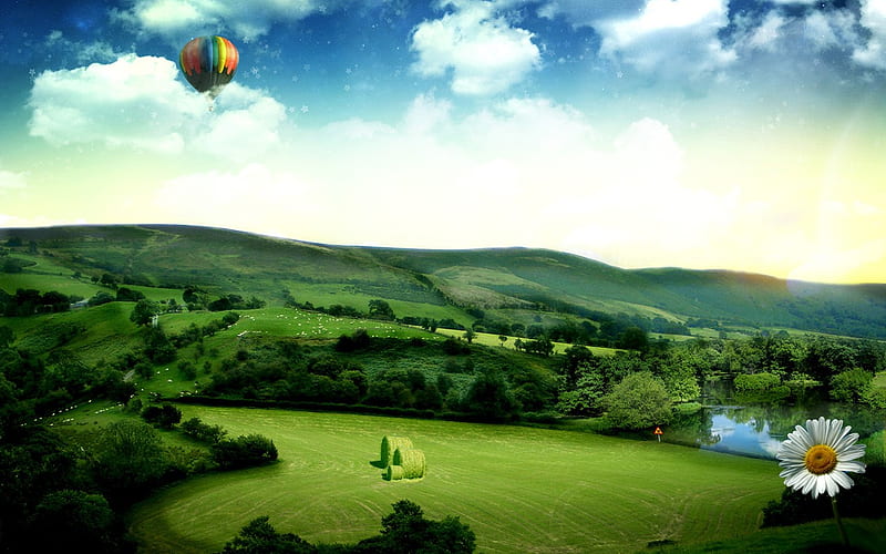 THE VIEW, forest, air ballon, green, grass, daisy, meadow, HD wallpaper