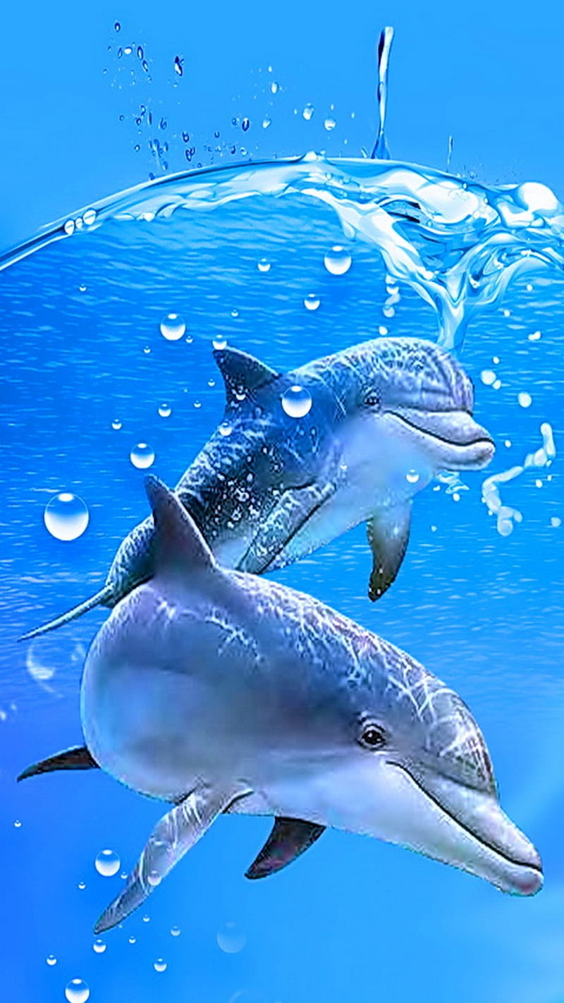 dolphins, dolphin, sea, water, HD phone wallpaper