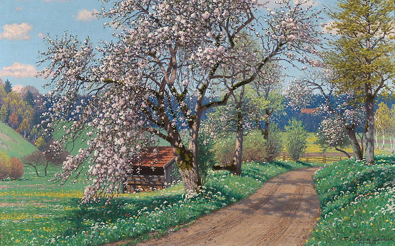 Morning in the Chiemgau, spring, flowering, trees, road, rural, HD wallpaper