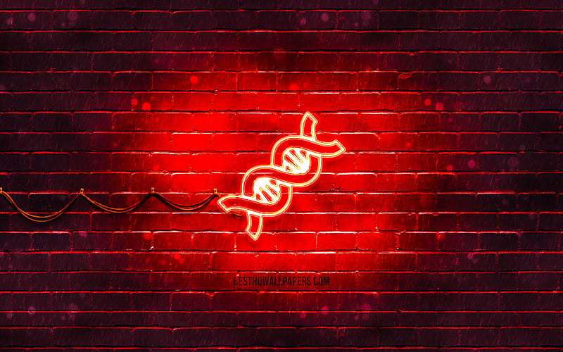 DNA neon icon red background, neon symbols, DNA, neon icons, DNA sign, medical signs, DNA icon, medical icons, HD wallpaper